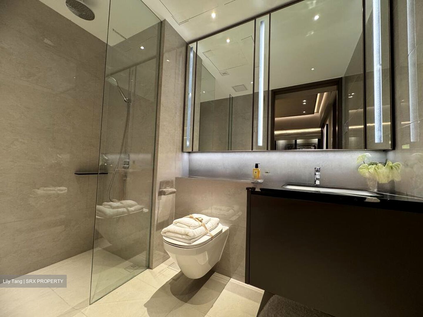 Marina Gardens Lane (D1), Apartment #461350301